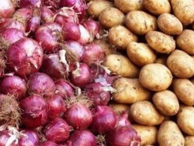 کمبودی در بازار میوه‌های ویژه شب یلدا وجود ندارد