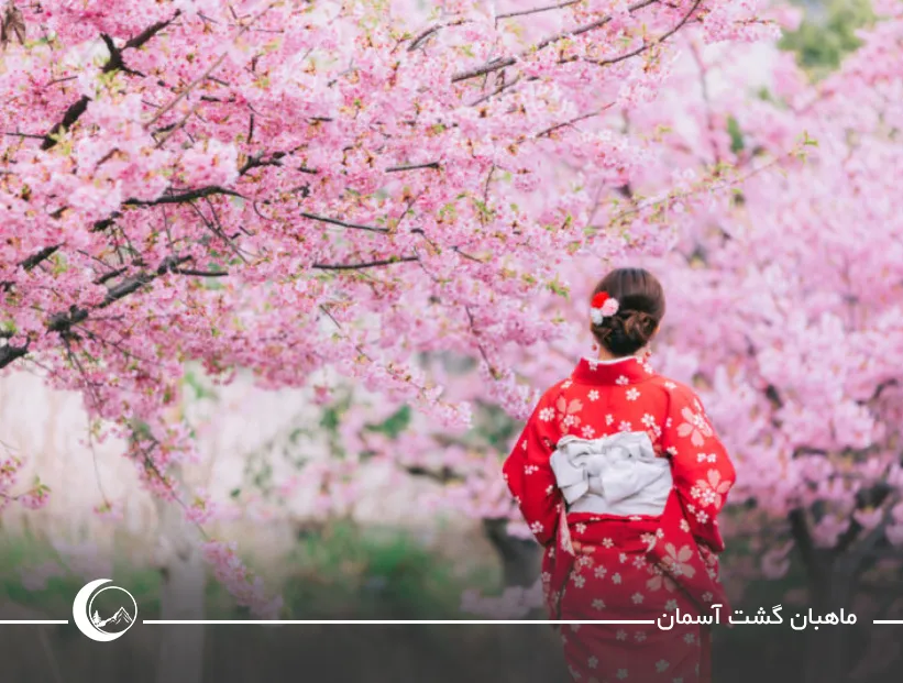 قیمت تور ژاپن نوروز؛ چقدر گرانتر است و آیا میصرفد؟ قیمت تور ژاپن نوروز؛ چقدر گرانتر است و آیا میصرفد؟