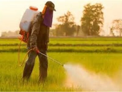 8 محصول جدید به سبد آفت‌کش گیاهی اضافه می‌شود