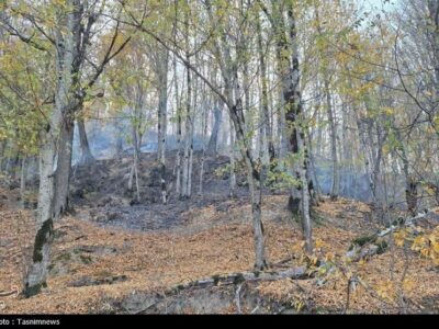 «نجات آب» ــ 52 | صیانت از پوشش گیاهی بالادست حوضه آبریز