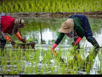 «نجات آب» ــ 53 | آموزش زنان کشاورز در مناطق کم‌برخوردار