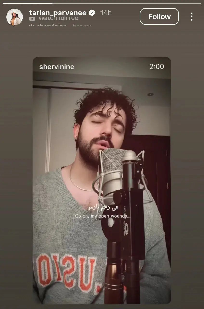 استوری ترلان پروانه برای شروین جلب‌توجه کرد