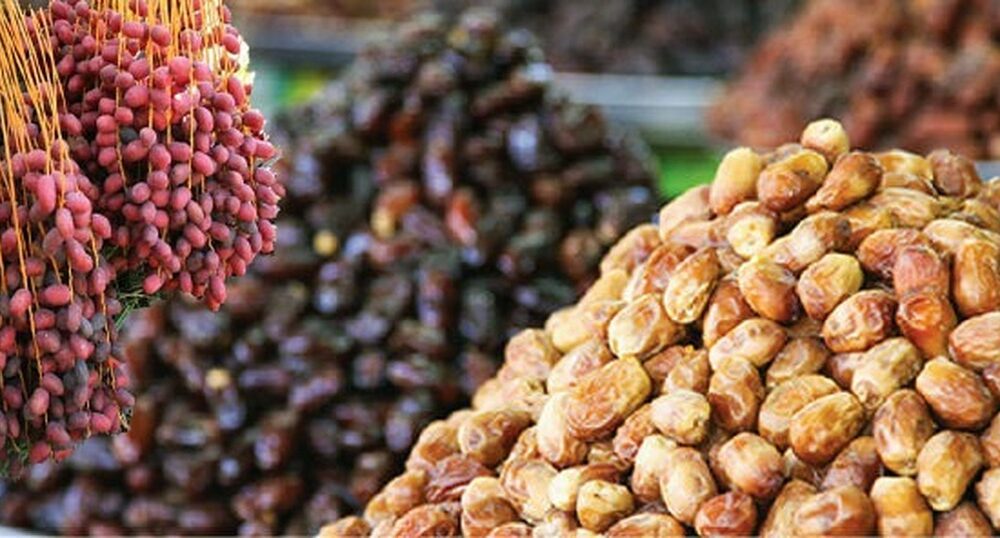 افت صادرات خرمای ایران / چرا خرمای ایران بازارهای جهانی را از دست داد؟