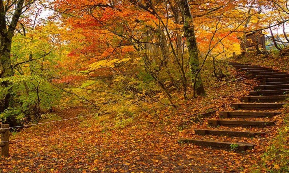 سفر پاییزی با خانواده؛ برنامه‌های خانوادگی و تفریحات پاییزی