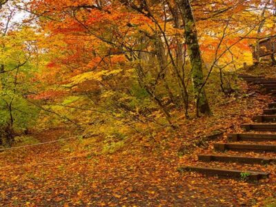 سفر پاییزی با خانواده؛ برنامه‌های خانوادگی و تفریحات پاییزی