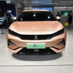 سقوط آزاد بی‌وای‌دی در ژانویه_6981c0d0500fe.webp