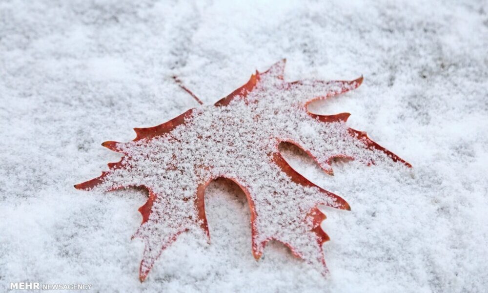 هشدار سازمان هواشناسی / سامانه بارشی گسترده در راه کشور است