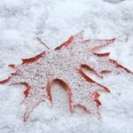 هشدار سازمان هواشناسی / سامانه بارشی گسترده در راه کشور است_698c228438505.jpeg