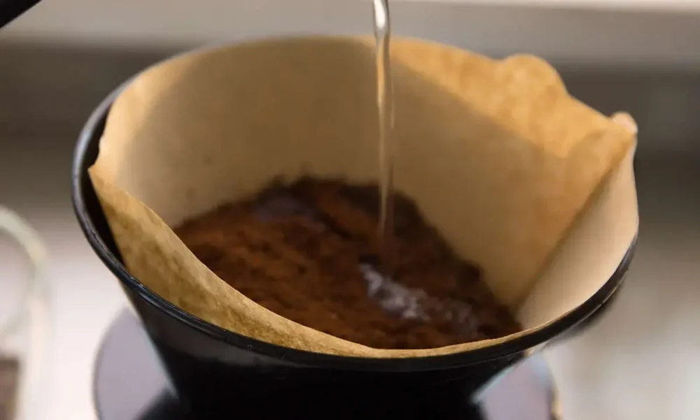 چطور با فیلتر قهوه سلامت ریشه گیاهان خود را تضمین کنید؟