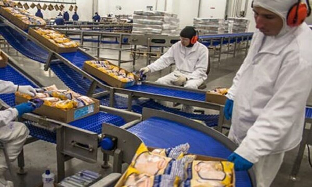 افزایش هزینه حمل‌ونقل کشتی‌ها در جنگ و تغییر مسیر به دور آفریقا/ رشد ۴۰درصدی هزینه تولید صنایع غذایی