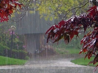 بارش باران و برف در راه چندین استان/ هوا سردتر می‌شود