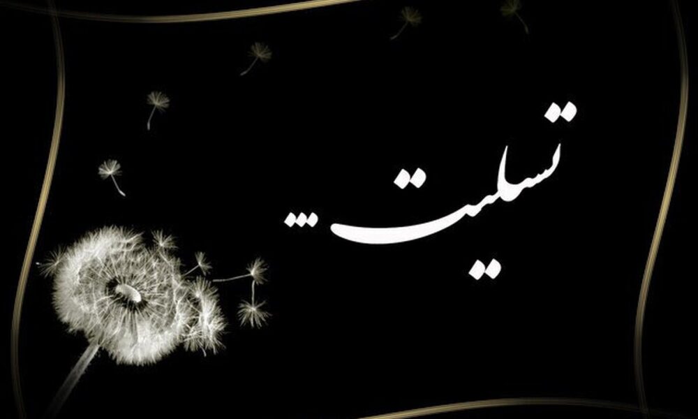 شهادت دانشجوی پزشکی در بمباران میدان انقلاب