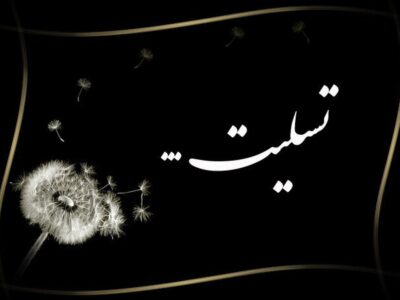 شهادت دانشجوی پزشکی در بمباران میدان انقلاب