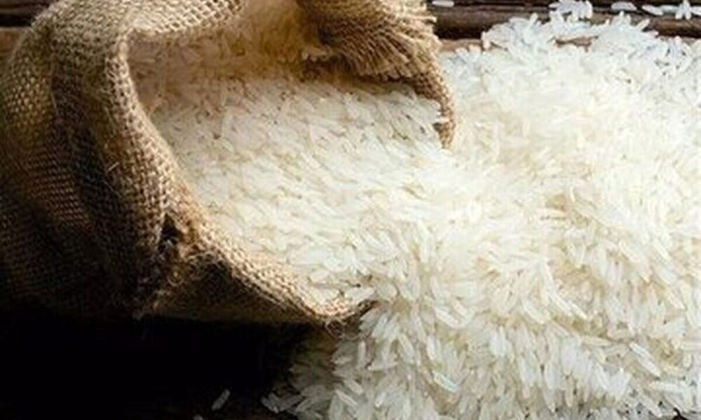 عرضه برنج ۱۵۱ هزار تومانی شروع شد/ محل فروش مشخص شد