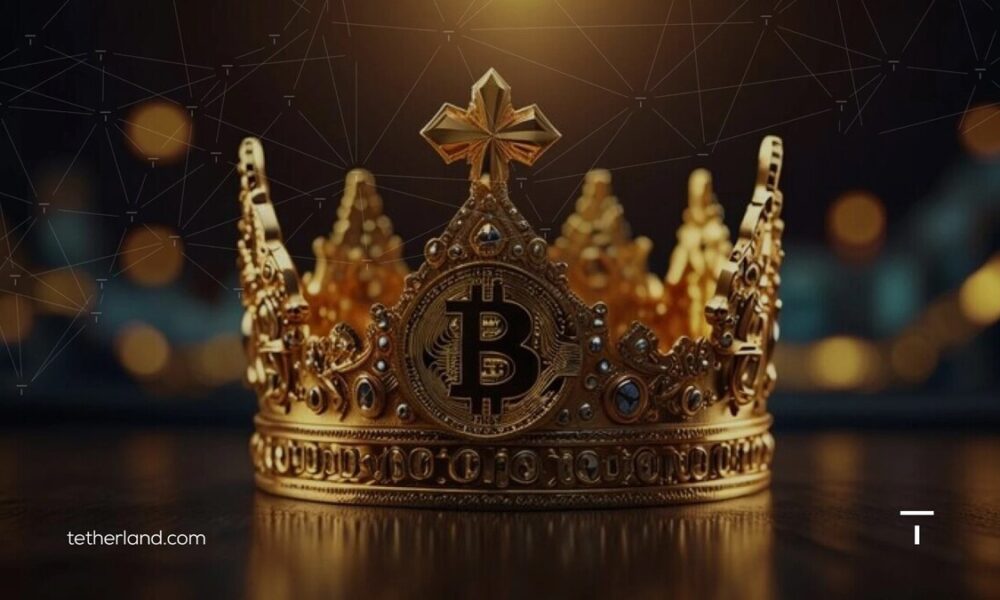 چه عواملی باعث نوسان پادشاه رمزارزها می شوند؟