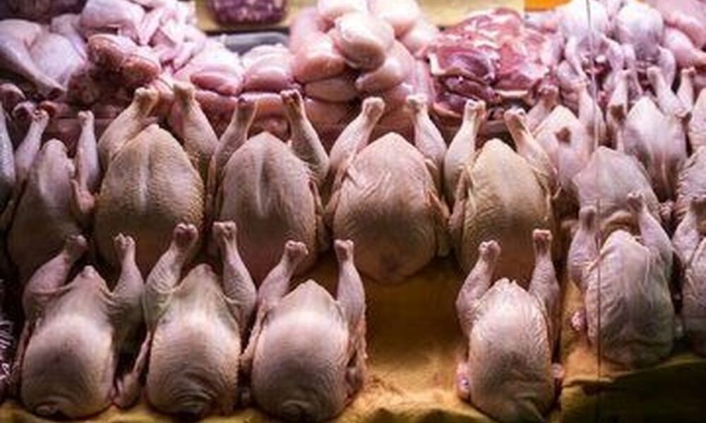 کشور همسایه به داد بازار مرغ ایران رسید