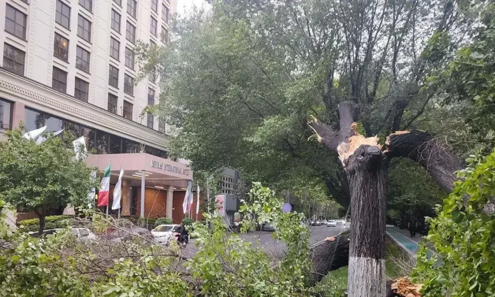 تازه‌ترین آمار از تعداد مصدومان طوفان امروز در تهران