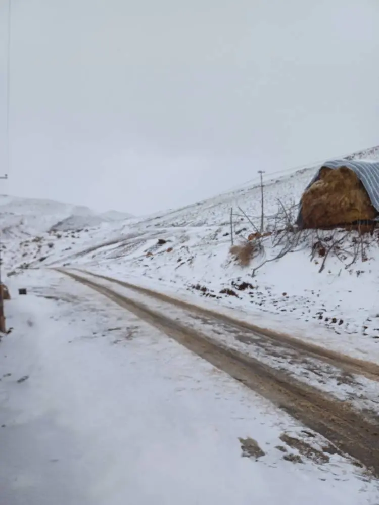 تصاویر دیدنی از بارش برف بهاری در خلخال تصاویر دیدنی از بارش برف بهاری در خلخال