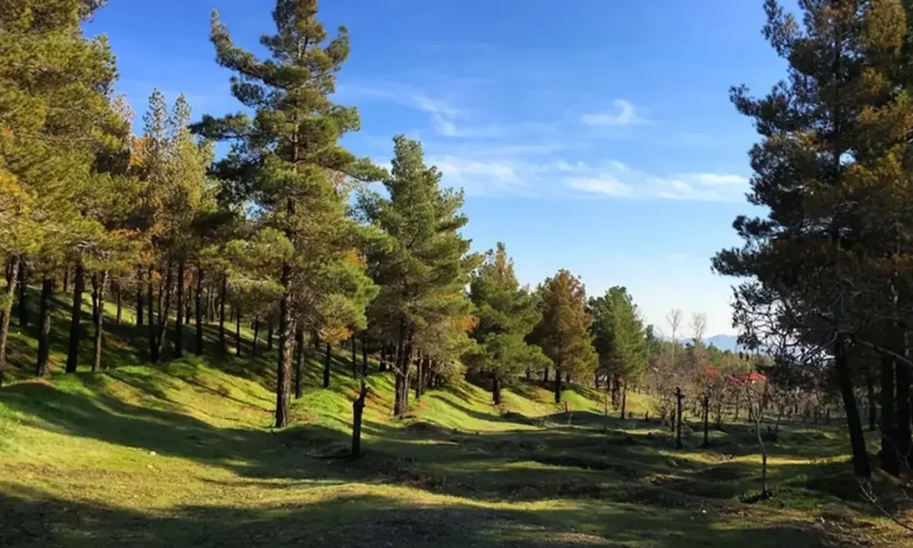 تعطیلی چهار بوستان جنگلی تهران در روز سیزده بدر/ اطلاعیه مهم شهرداری تهران