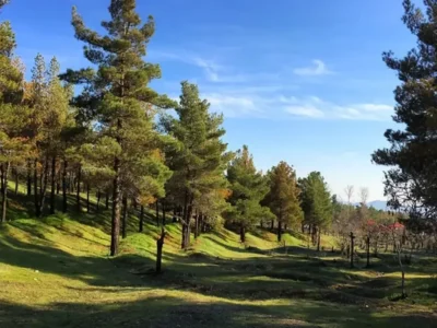 تعطیلی چهار بوستان جنگلی تهران در روز سیزده بدر/ اطلاعیه مهم شهرداری تهران