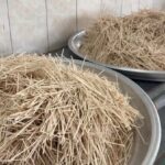 توزیع آش نذری توسط بسیجیان قوچانی_69e993abdecff.jpeg