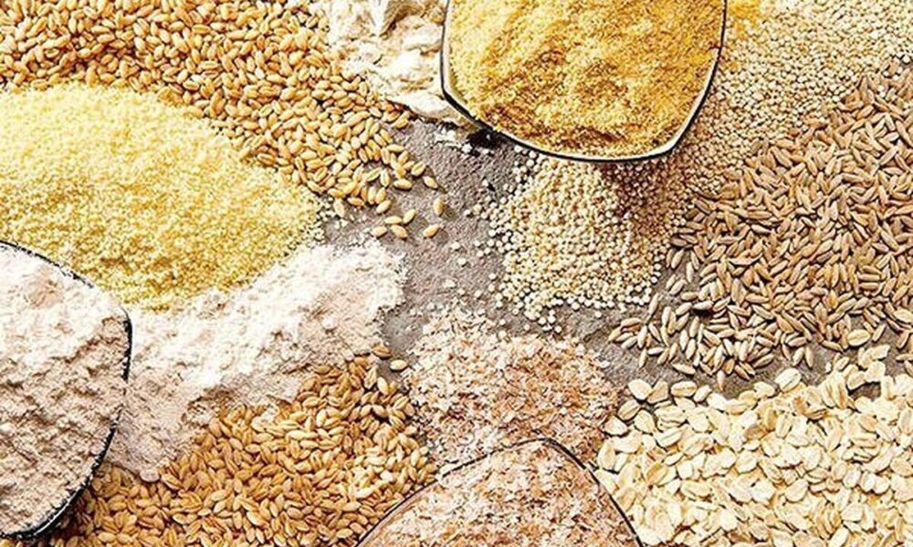 محدودیت واردات از طریق بنادر جنوبی کشور / اولین محموله نهاده دامی نیز از بنادر شمالی وارد کشور شده است