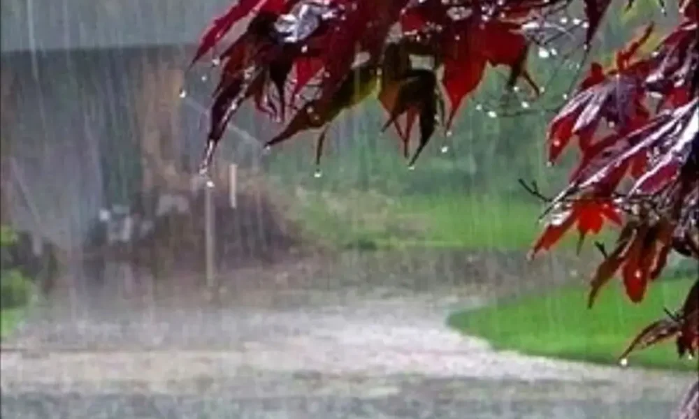 هشدار جدی هواشناسی صادر شد/ بارش‌های پراکنده و ورزش باد مهمان این استان