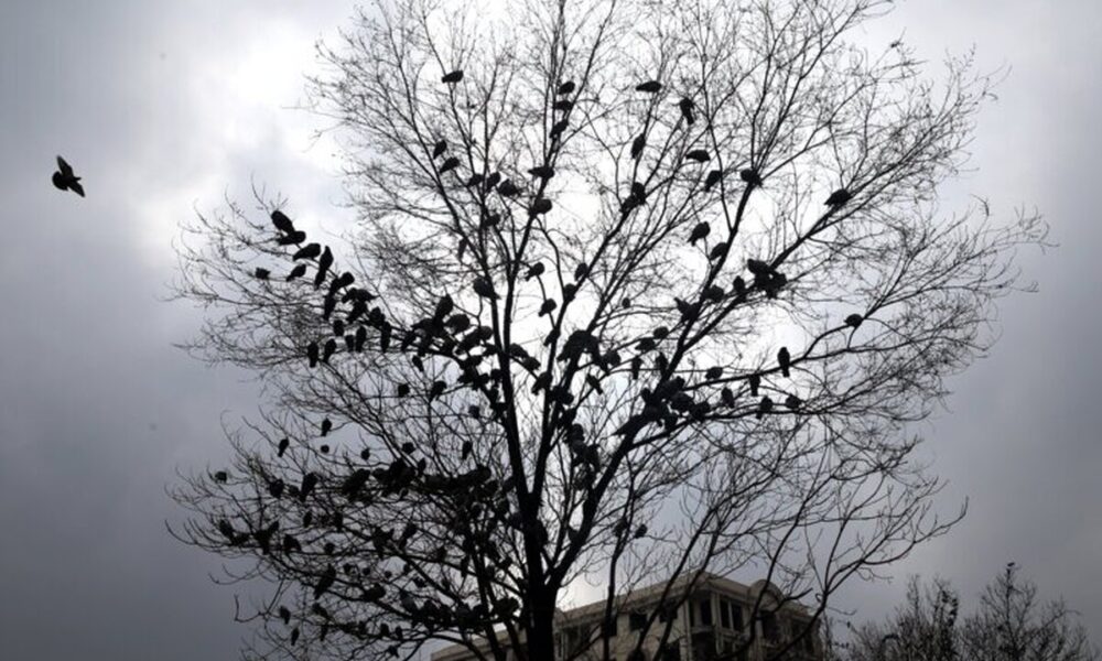 هشدار جدی هواشناسی صادر شد/ وزش باد شدید همراه با رگبار و رعد و برق در راه تهران