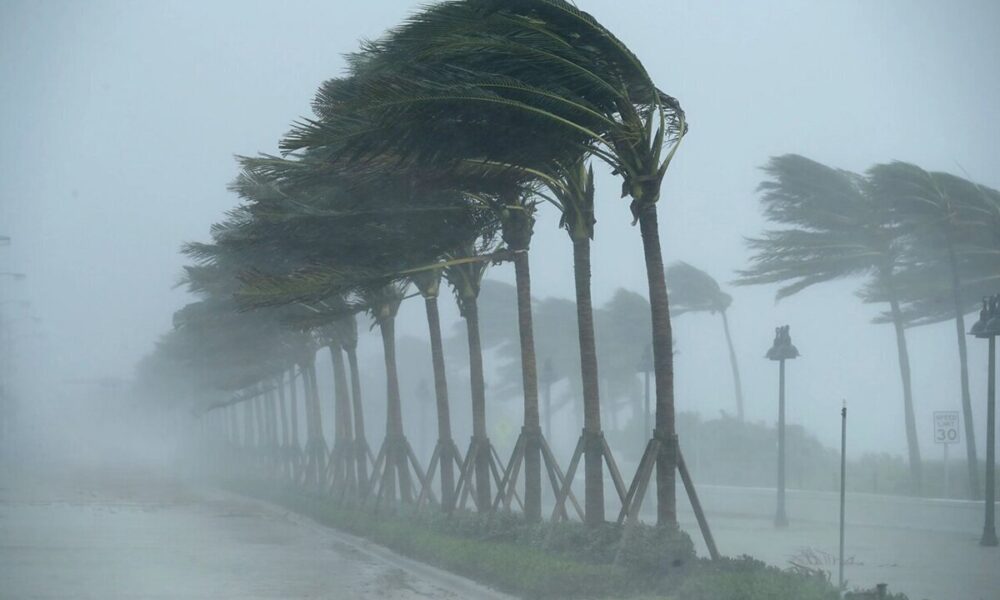 هشدار هواشناسی برای پایتخت/ سرعت وزش باد افزایش می‌یابد