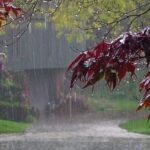 هشدار هواشناسی تهران/ طوفان، رگبار و خطر سیلاب در راه است هشدار هواشناسی تهران/ طوفان، رگبار و خطر سیلاب در راه است_69d105061f49a.jpeg