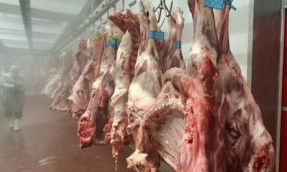 افزایش هزینه بسته‌بندی گوشت چقدر روی قیمت اثر دارد؟ / دبیر انجمن تولید و بسته‌بندی گوشت توضیح داد
