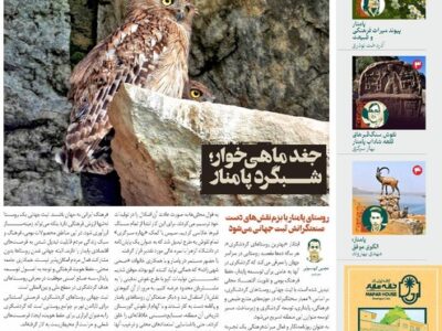 انتشار «زمینی‌ها» با رویکرد روستای گردشگری پامنار و جغد ماهی‌خوار