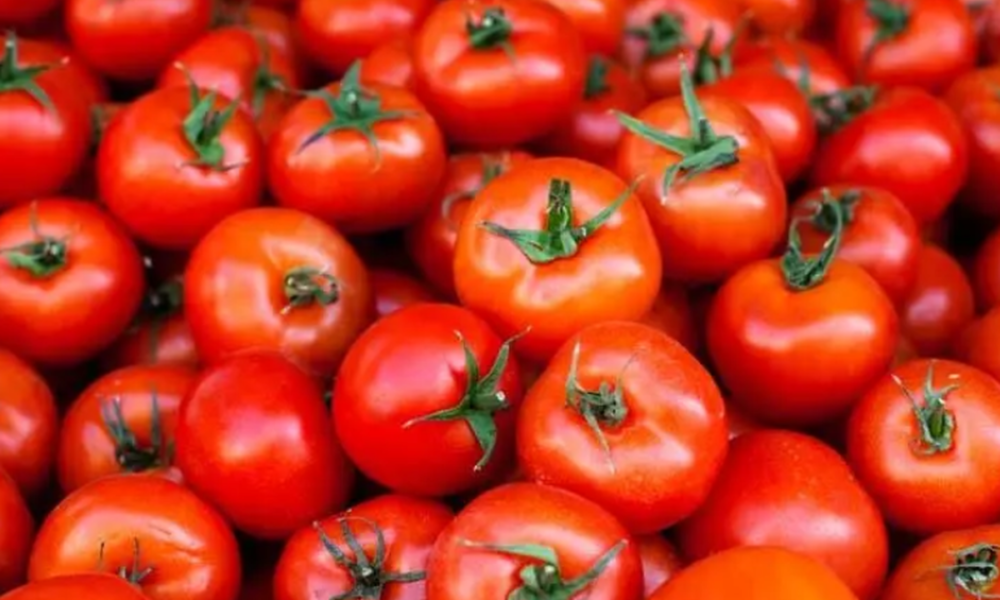 بازار صادراتی جان گرفت / دستور تازه گمرک برای خروج آزادانه سه کالای حساس