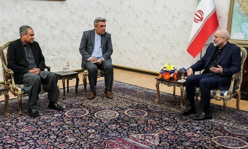 دیدار وزیر کشور پاکستان با قالیباف