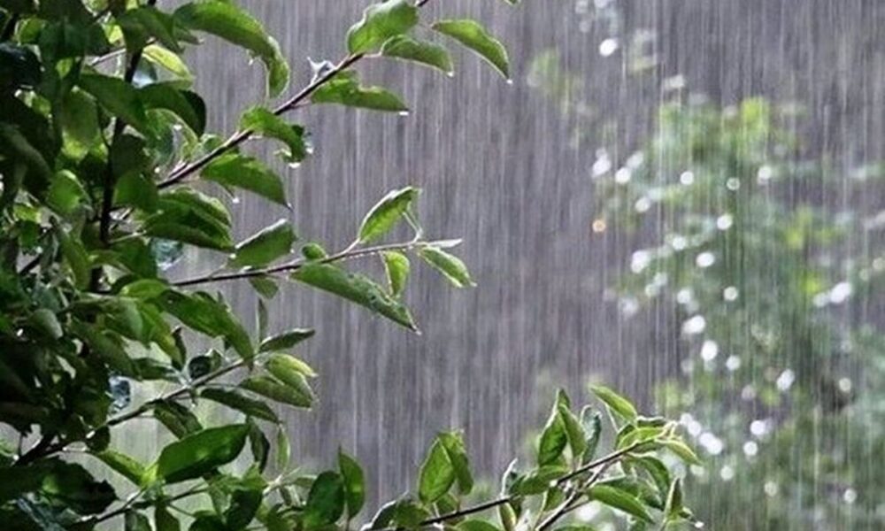 هواشناسی هشدار داد/ باران و رعدوبرق در تهران و شمال غرب کشور