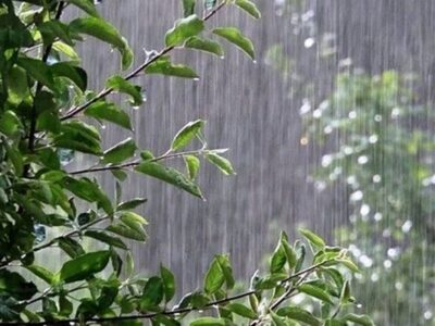 هواشناسی هشدار داد/ باران و رعدوبرق در تهران و شمال غرب کشور
