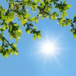 هواشناسی هشدار داد / جهش دما در شمال و تهران_6a19333259275.jpeg