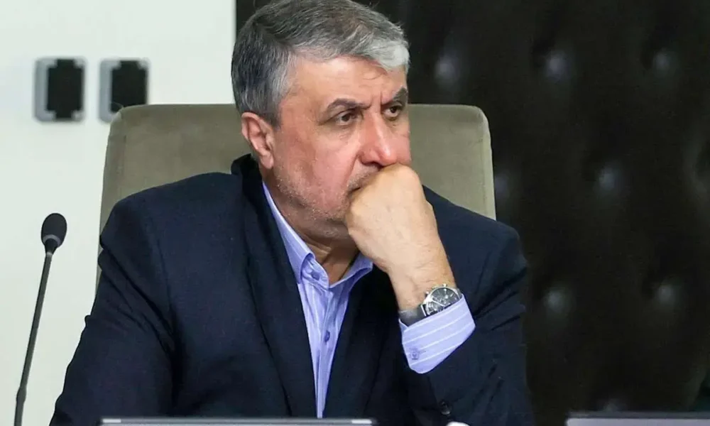 رئیس سازمان انرژی اتمی: دو واحد نیروگاه اتمی بوشهر اکنون در حال احداث هستند