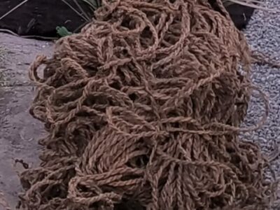 طولانی‌ترین تمرین طناب‌بافی چیلوک در فهرج؛ تلاش برای نجات ۲هزار صنعتگر