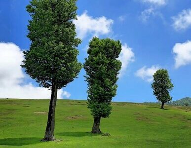 دشت مرکوه مینودشت؛ مقصدی آرام برای عاشقان طبیعت