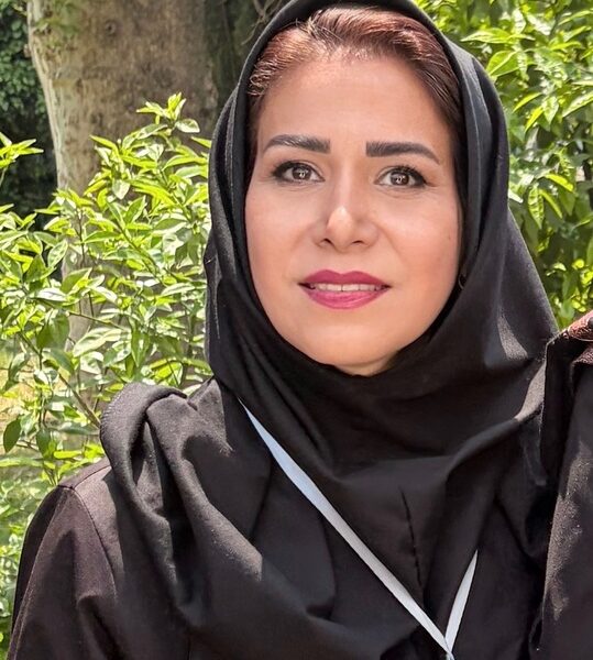 شیخ صفی‌الدین اردبیلی عارفی که میراث معنوی ایران را جاودانه کرد