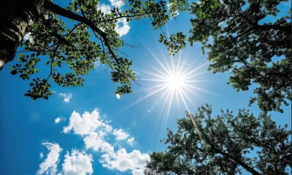 وضعیت جوی کشور در ۵ روز آینده / هوای تهران در آخر هفته چگونه است؟