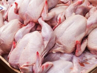 چراغ سبز به صادرات گوشت مرغ / قیمت‌ها در بازار داخلی بالا می‌رود؟