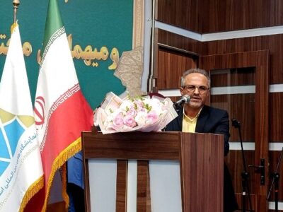 اوجانی: طرح بیمه هنرمندان صنایع‌دستی به صحن مجلس رسید