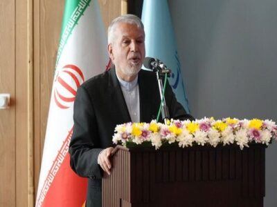 صالحی‌امیری: پایگاه‌های میراث ملی و جهانی باید تقویت شوند